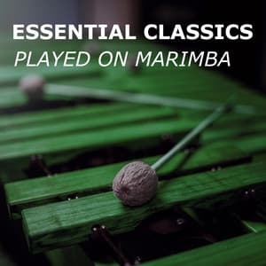 Essential Classics - Marimba Guy