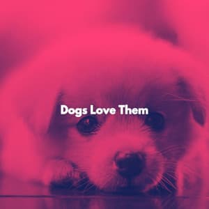 Dogs Love Them - Musica per Rilassarsi