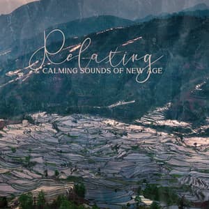 Relaxing & Calming Sounds of New Age - Feel Like in Acient China - System for Chakra