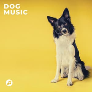 Deep Sleep Dog Music - Dog Music DJ