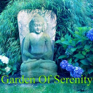 Garden Of Serenity - Meditation Zen Master