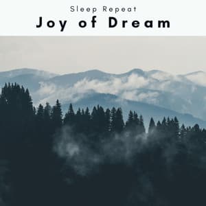 1 Joy of Dream - Sleep Repeat