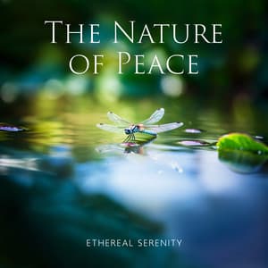 The Nature of Peace: Ethereal Serenity Ambient Music for Holistic Therapy, Hypnosis, Meditation, Relax - Namah Shina