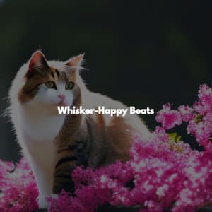 Whisker-Happy Beats - Smooth Jazz Jams