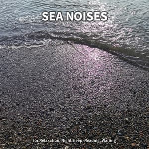 ** Sea Noises for Relaxation, Night Sleep, Reading, Waiting - Sea Waves