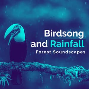 Birdsong and Rainfall - Forest Soundscapes