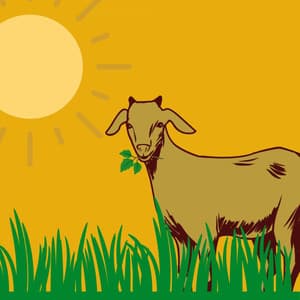 Music for Beach Blues - Deluxe Cafe Jazz