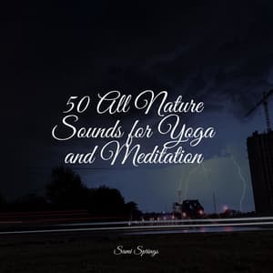 50 All Nature Sounds for Yoga and Meditation - Rain Spa