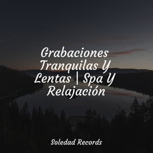 Grabaciones Tranquilas Y Lentas | Spa Y Relajación - Relajar