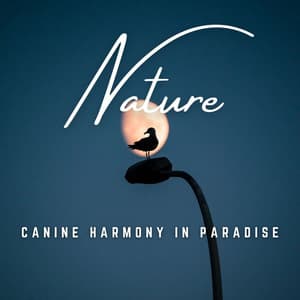 Paws in Paradise: Gentle Sounds - Dog Harmony