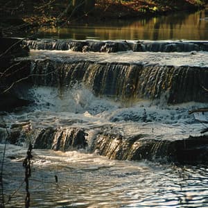 Melodías Tranquilas De Meditación Para Un Enfoque Sereno - Cuencos cantores del Tíbet