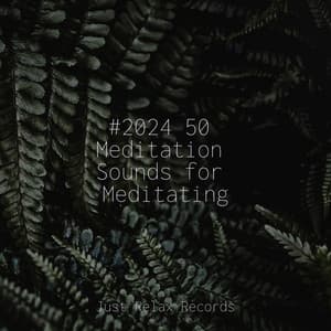 #2024 50 Meditation Sounds for Meditating - Shakuhachi Sakano