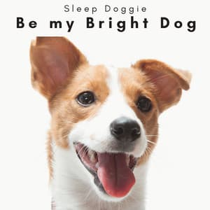 1 Be my Bright Dog - Sleep Doggie