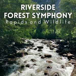 Riverside Forest Symphony: Rapids and Wildlife - Forest Sounds