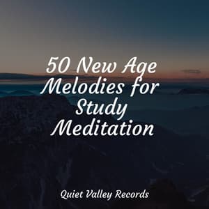 50 New Age Melodies for Study Meditation - Naturaleza Relajacion