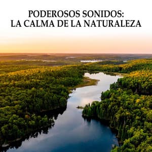 Poderosos Sonidos: La Calma De La Naturaleza - Concentracíon