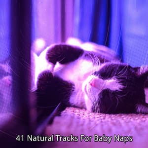 41 Natural Tracks For Baby Naps - Sleepy Night Music