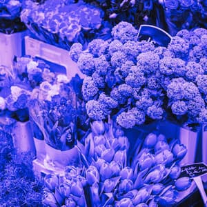 Music for Comfortable Moments - Coffee Shop Music Ambiance