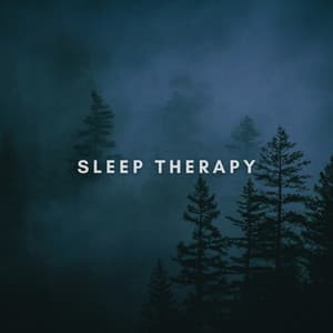 Forest Rain and Cricket Nights - SleepTherapy