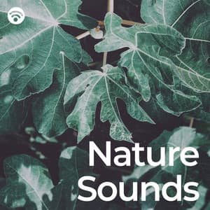 Nature Sounds - Nature Sounds for Sleep and Relaxation