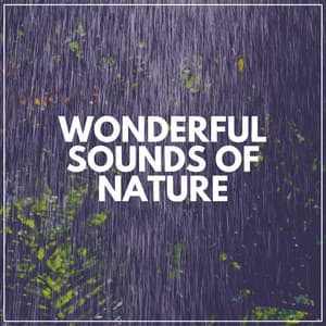 Wonderful Sounds of Nature - Loopable Rain Sounds