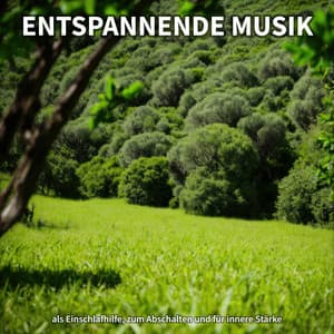 Entspannende Musik als Einschlafhilfe, zum Abschalten und für innere Stärke - Lernmusik
