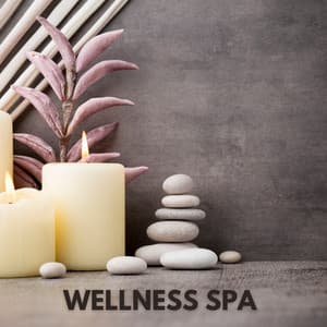 Wellness Spa - Classical Music For Relaxation