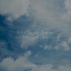 50 Classic Songs for Zen Spa - Lounge Music Café