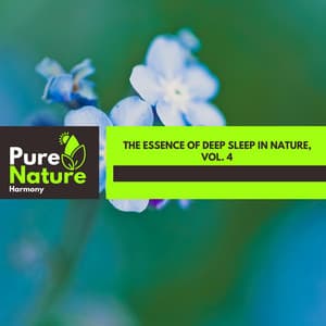 The Essence of Deep Sleep in Nature, Vol. 4 - Nature Field Recordings