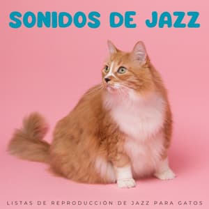 Sonidos De Jazz: Listas De Reproducción De Jazz Para Gatos - Jazz y relajación