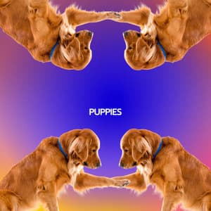 PUPPIES - Jazz For Sleeping