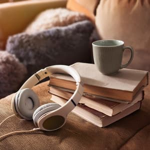 Calm Repose: Melodies for Relaxation - Brainwave Mind Voyages