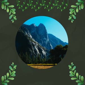 Peak Spa Therapy - 1 Hour Spa Music