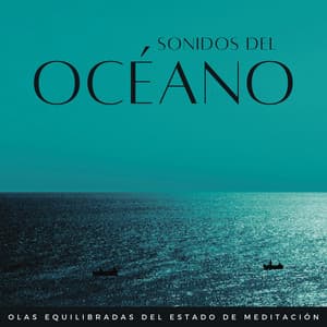 Sonidos Del Océano: Olas Equilibradas Del Estado De Meditación - Ola del océano