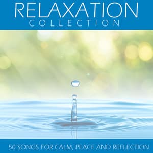 Relaxation Collection: 50 Songs for Calm, Peace and Reflection - Piano Music Experts