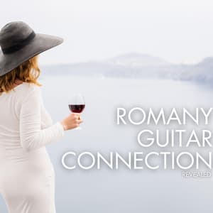 Revealed - Romany Guitar Connection