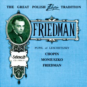 The Great Polish Chopin Tradition: Ignacy Friedman - Ignaz Friedman