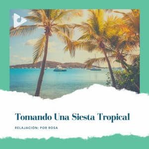 Tomando Una Siesta Tropical - Relajación: Por Rosa