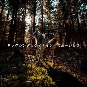 リラクシング・ケイナイン・ミュージック - New York Jazz Trio