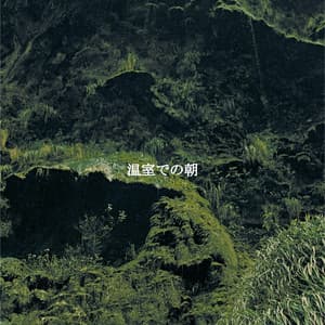 温室での朝 - Cafe Jazz Tokyo