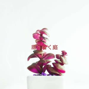 落ち着く庭 - The Happy Jazz Lounge