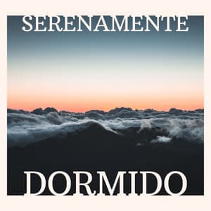 Serenamente Dormido: Música New Age para la Relajación y el Sueño Profundo - Bien Dormir