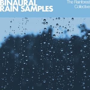 Binaural Rain Samples - The Rainforest Collective