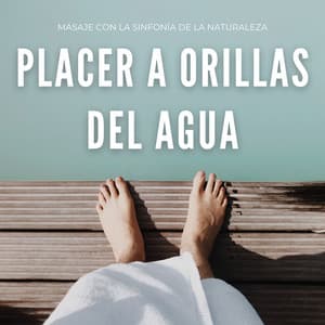Placer A Orillas Del Agua: Masaje Con La Sinfonía De La Naturaleza - VIDA ASMR