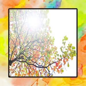 자연의 힐링음악, 휴식과 안정으로 맑은 상쾌함을 주는 아늑한 휴식 시간 속 피아노 모음집 - Relaxation Musician