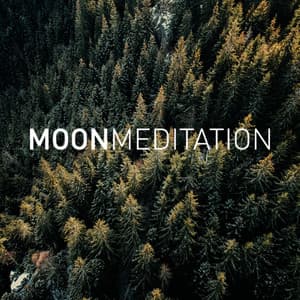Meditation - Moon Tunes