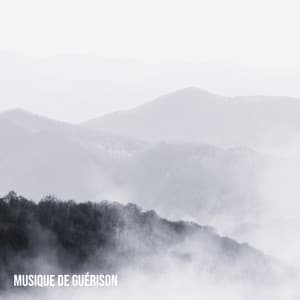 Musique de guérison: Sons thérapeutiques pour soulager le stress et la tension, Harmonie psychophysique - Musique Relaxante 101