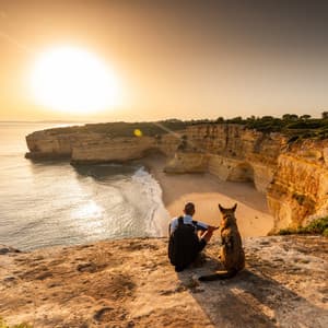 Beachside Bark: Ocean Music for Dogs - Brainwave Music Architect