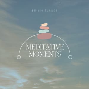 Meditative Moments - Emilio Turner