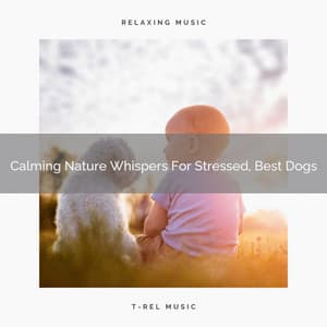 Calming Nature Whispers For Stressed, Best Dogs - Pets Relax